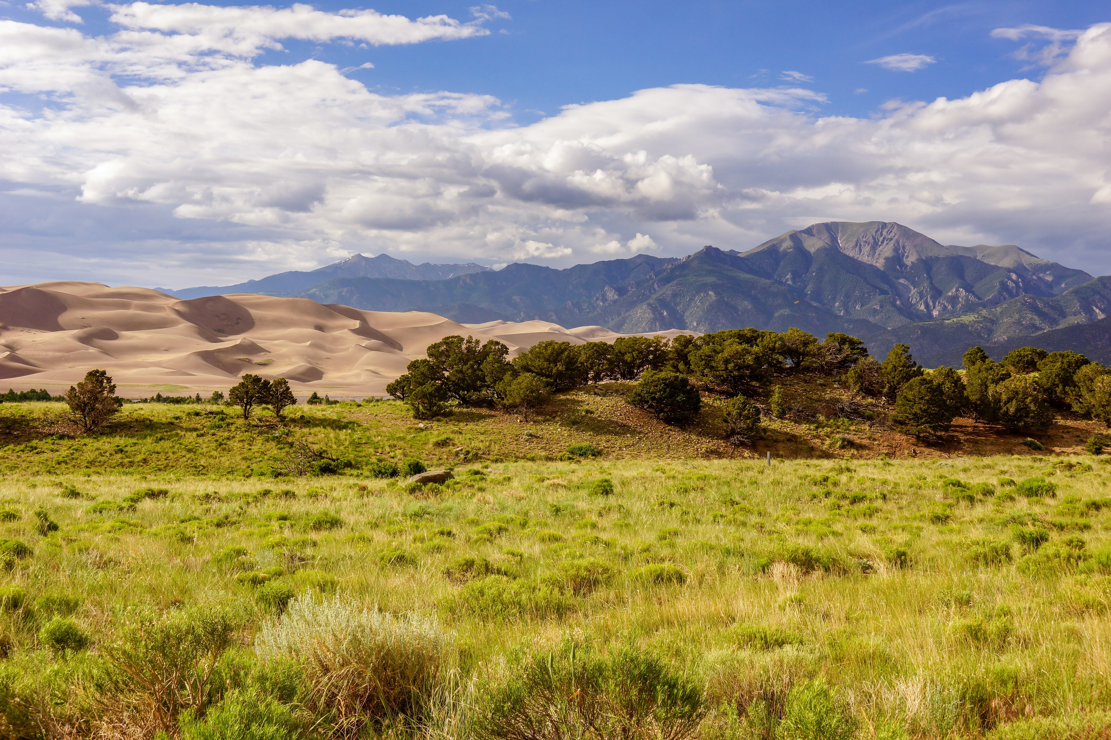 Grassy field that leads into sand dunes, then up to mountains.