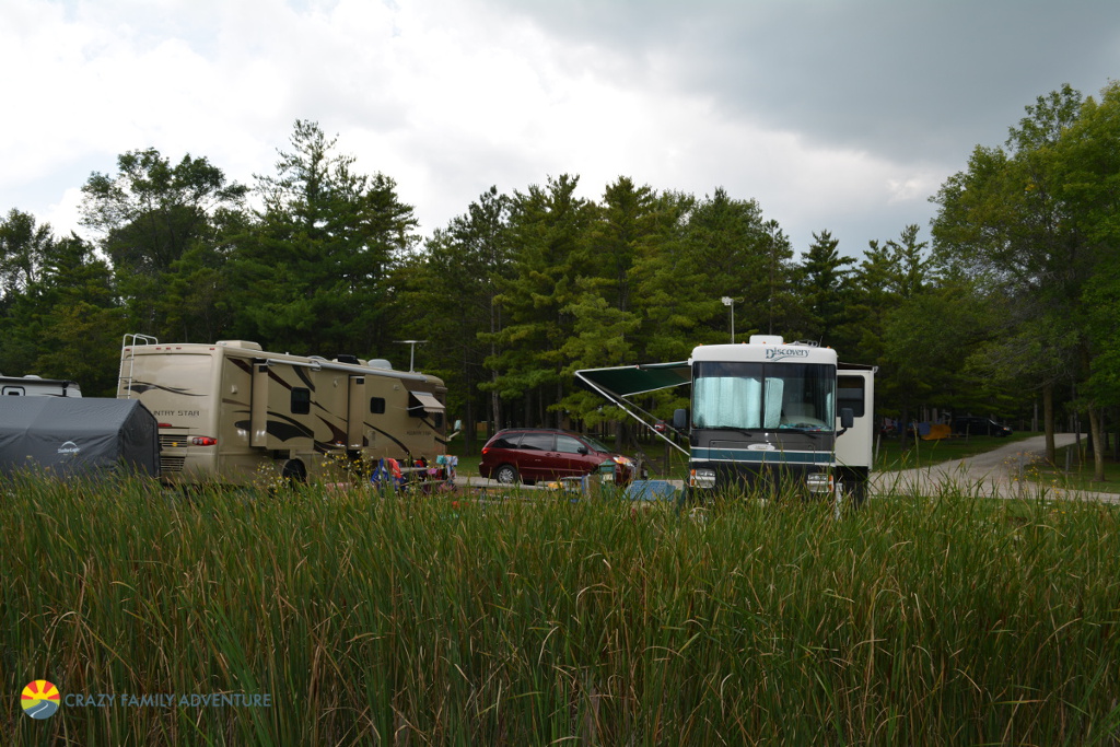 Motorhomes parked at a campground.