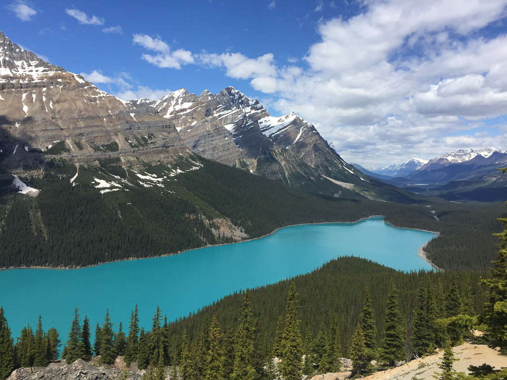 Aqua blue Peyto Lake at the base of the mountains with trees surrounding the lake.