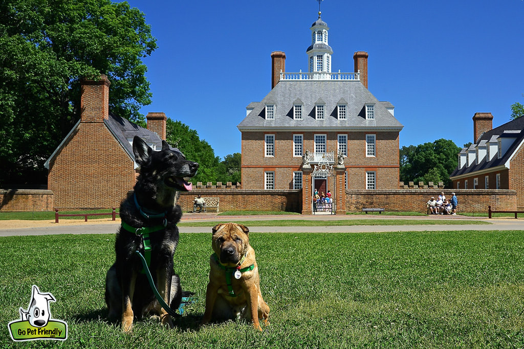 Two dogs sitting in front lawn of the Governor's Palace.
