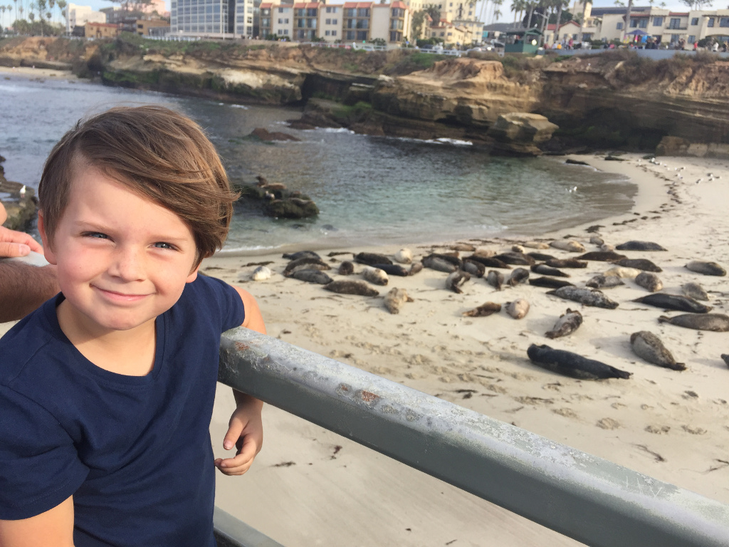 Child with sea lions laying on the sand in the background