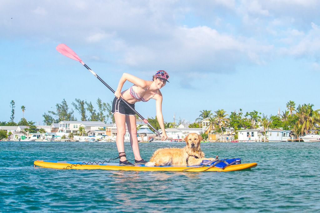 Katharine and their dog on a paddleboard