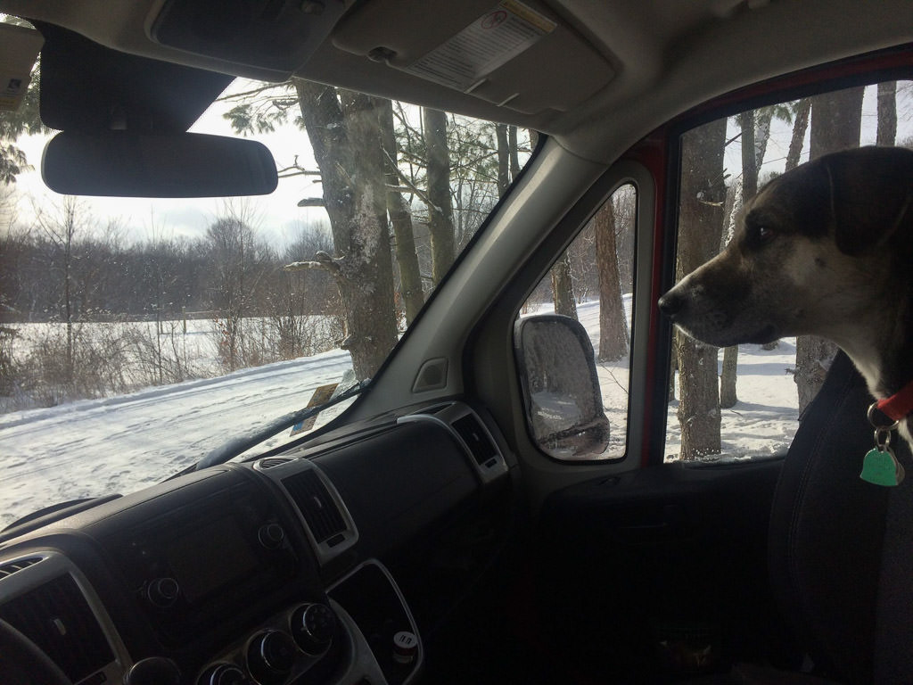 Dog sitting in passenger seat of the RV with wintry view out the window