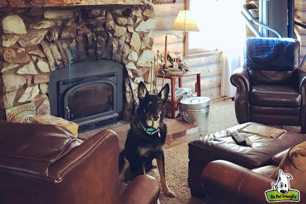 Buster in front of wood burning fireplace inside the cabin