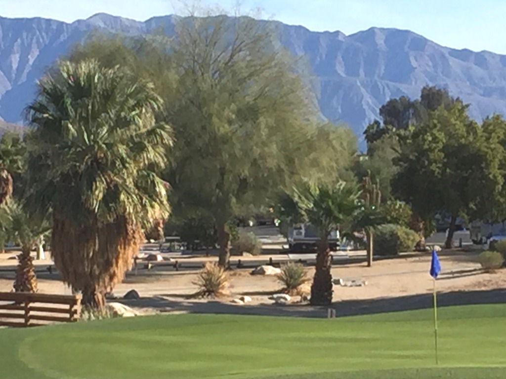 Golf Course at Borrego Springs with palm trees and mountains in view