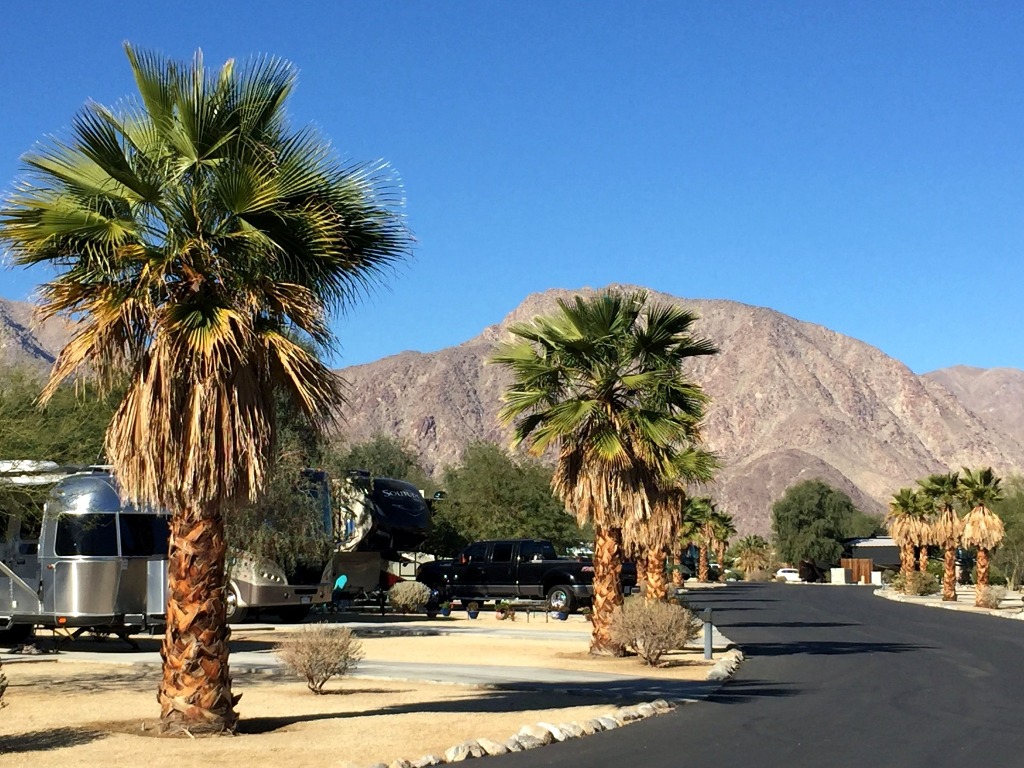 Motorhomes parked at Borrego RV Park with palm trees and moutains