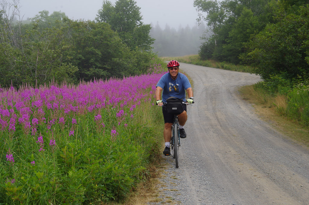 Man riding a bike along a path with purple flowers to the left and trees to the right